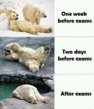final exam week funny